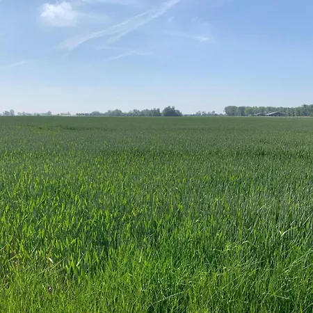 Appartement In Near The Marina Nieuwpoort