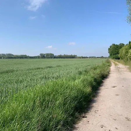 Apartment In Near The Marina *