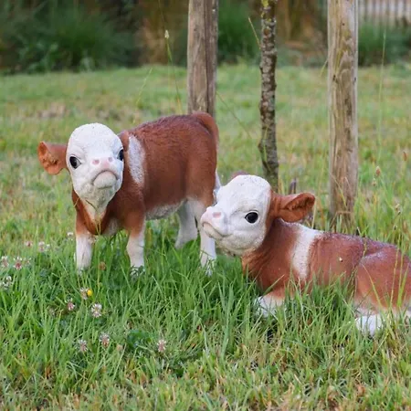 In Near The Marina Appartement Nieuwpoort
