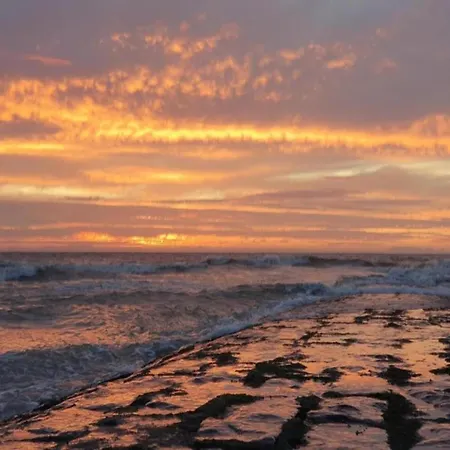 In Near The Marina Nieuwpoort