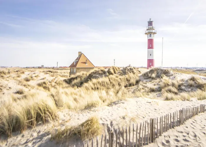 In Near The Marina *